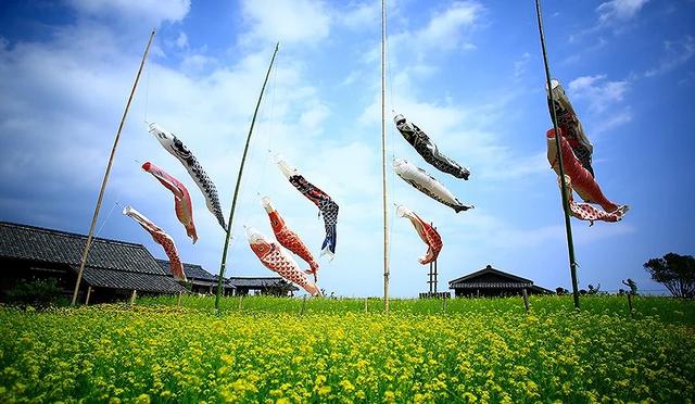 小豆岛一日游：搭冈山搭「国际两备渡轮」畅游濑户内海
