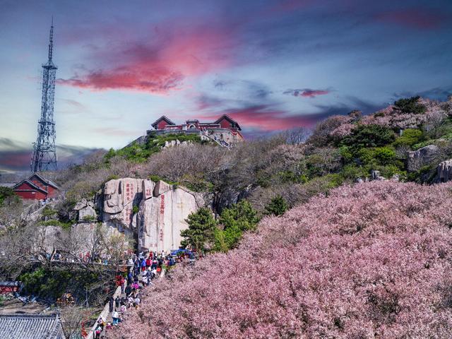 海棠花与汉服佳人的泰山之约