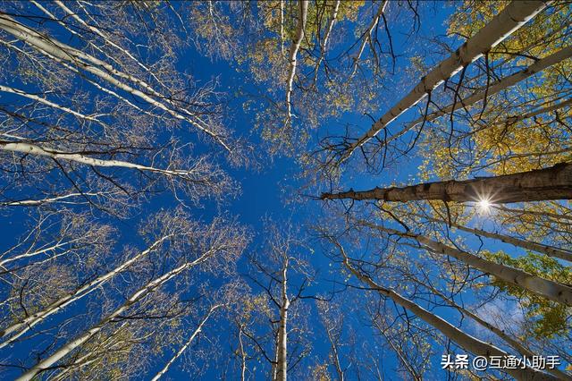 老蛙12mm F2.8 Zero-D 评测——一款存在明显妥协的超超广角定焦镜头