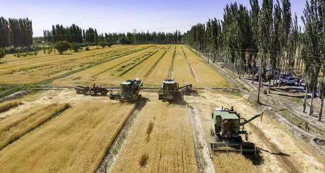 中国又创造了一大“奇迹”，14亿人将受益！让海外人士都惊呆了！