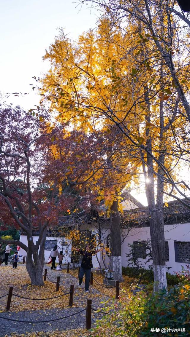 每日一景|封神赏景地·莫愁湖