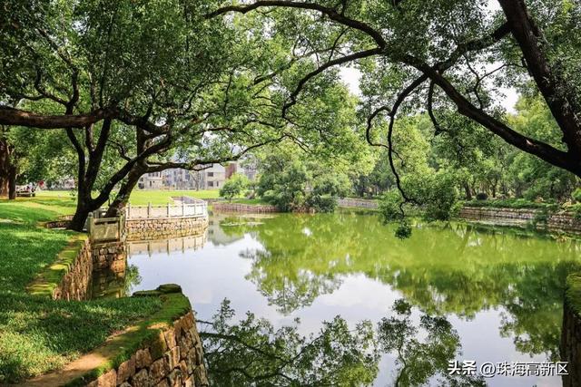 会同村：修旧如旧 古村焕新“春”