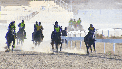 冬季那达慕 超燃！