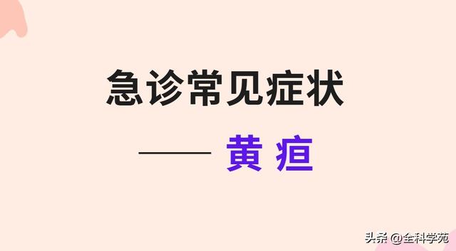 急诊常见症状 —— 黄疸
