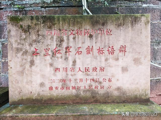 四川雅安雨城区：历史文化名镇上里，大熊猫基地碧峰峡