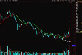 奋达科技（002681）图片