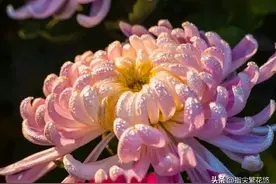 在东莞（十八）噩耗，00后的她走了，留下一个四岁一个两岁的儿子图片