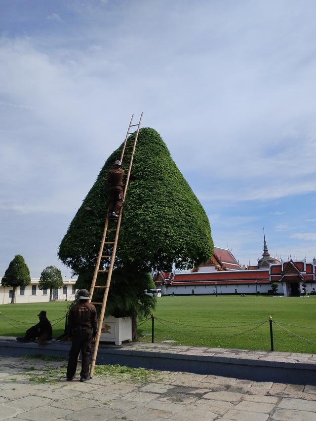 曼谷大皇宫：被鎏金与佛韵裹住的午后