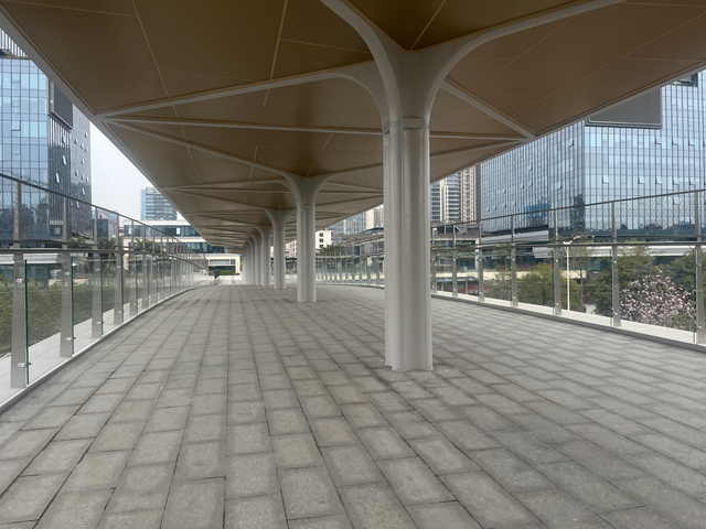 一文“速通”！2026大良迎春花市嘉年华便民攻略来了