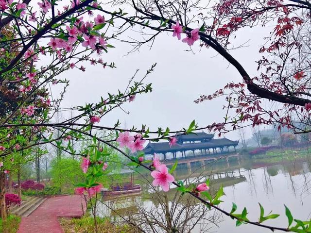 悦遵义·赴春约｜2026遵义春季主题游“1+4+N”玩法全攻略，承包你一整个春天的浪漫