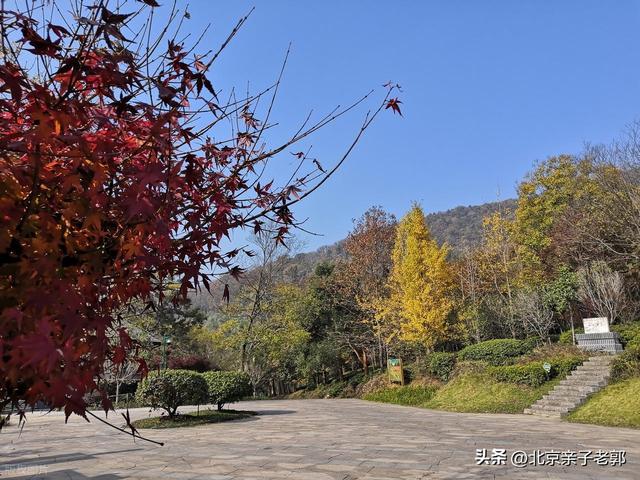 老山城市公园，免费登高360度俯瞰京城盛景