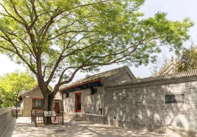 逛西城，到陶然亭公园打卡“隐藏点位”——