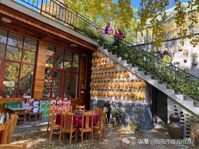 腾冲秘境：火山沉寂，绽放的地质与自然之美