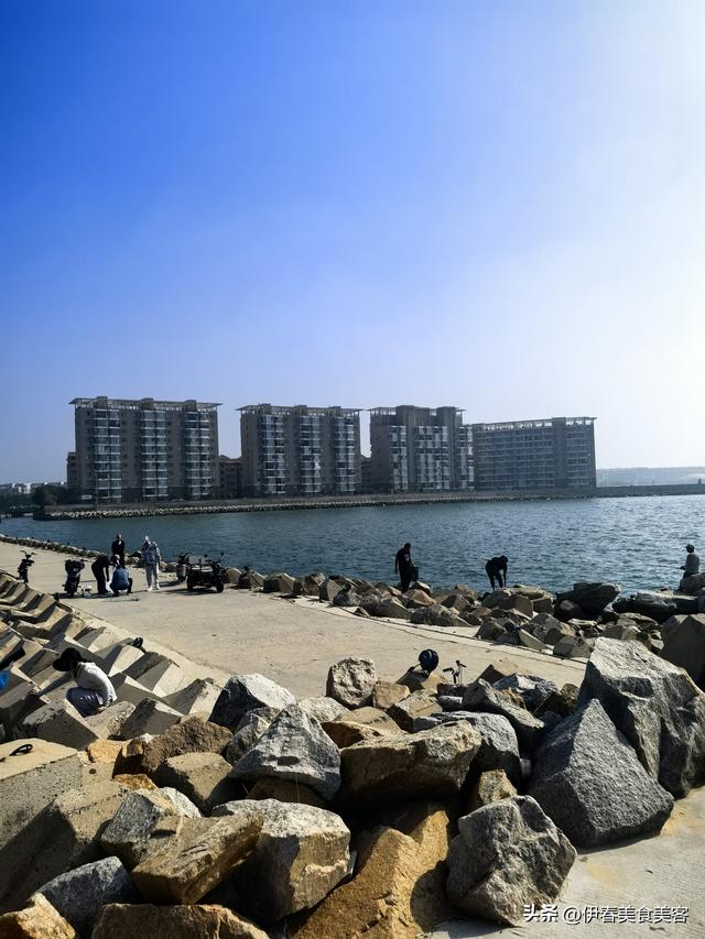 威海赠我以春天
