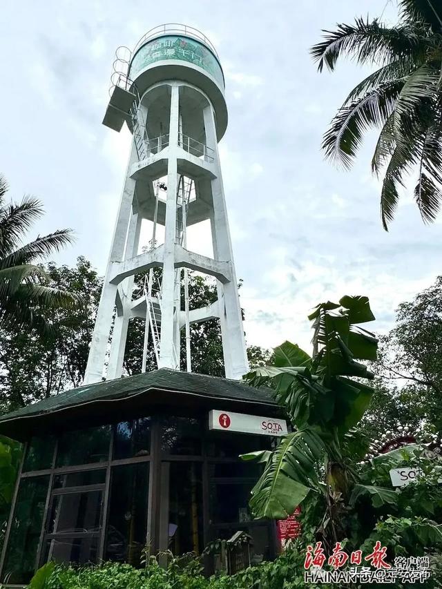 省媒看定安丨定安：擦亮“咖啡+美景”县域旅游新名片