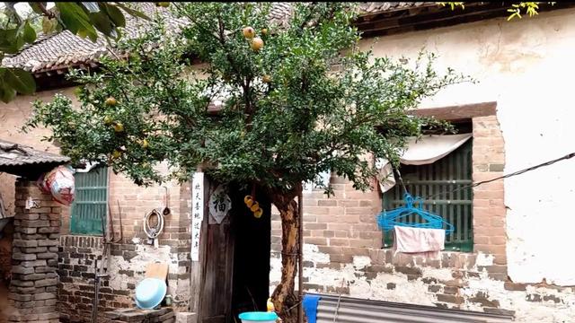 红色历史村落|鲁西新区马岭岗镇李朝花村