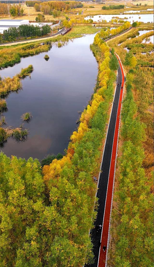 大同这片18万亩的湿地,美到让人心醉