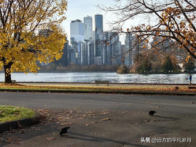 温哥华游记（四）