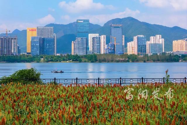 惊艳！富春江私藏了一片“燃烧的秋天”