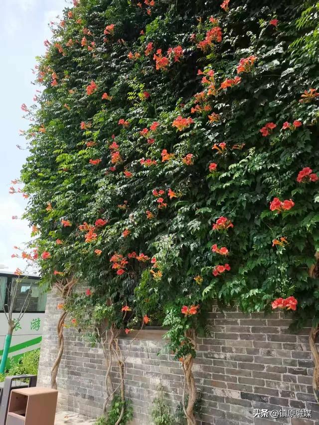 庆阳，高天厚土