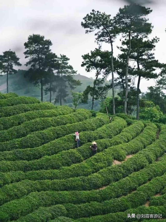 信阳哪里最好玩？3天2晚解锁山水茶都的N种潮玩法！