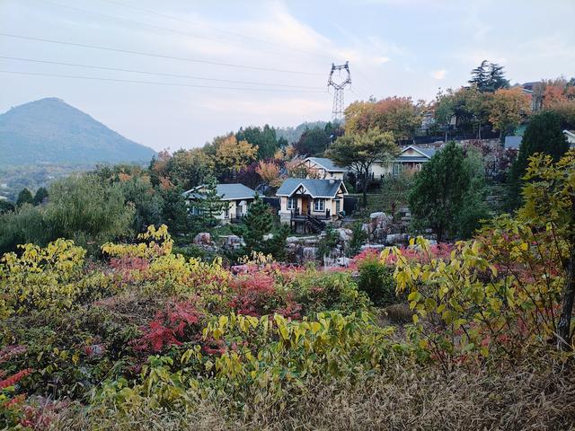 2025秋游：淮北临涣古镇.枣庄仙坛山温泉小镇