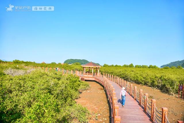 藏在北纬22°的“东方夏威夷”,碧海金沙,景美人少的度假天堂!