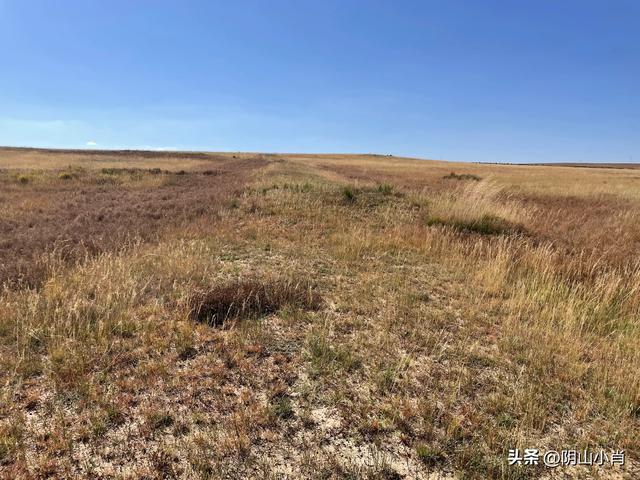 2025年国庆包头市达茂联合旗境内访古记