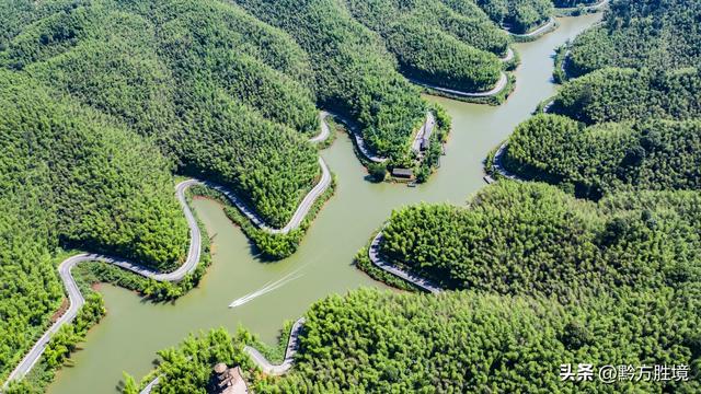 中国竹林面积最大的县在贵州，面积达123万亩，已是国家森林公园