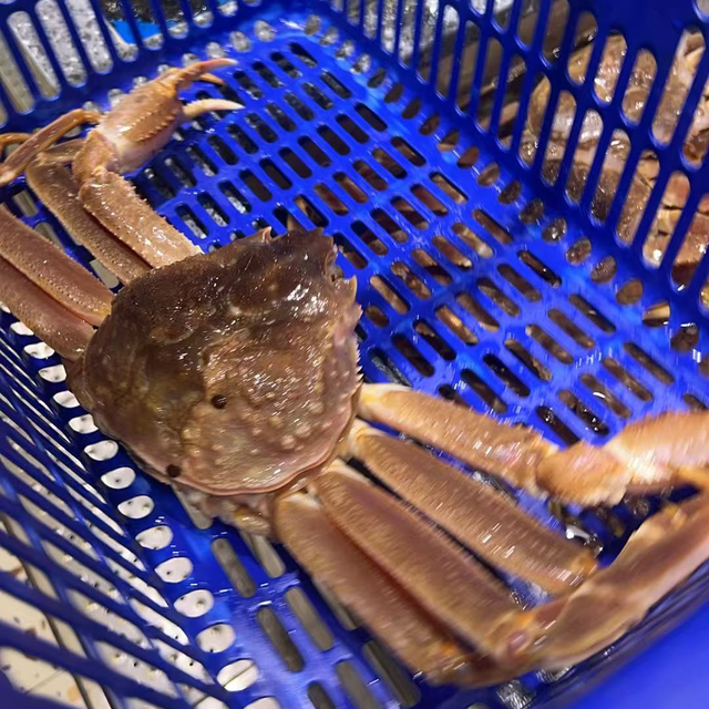 中秋团聚的饭桌上，我做的这道螃蟹料理惊艳全场！吃过都说赞！