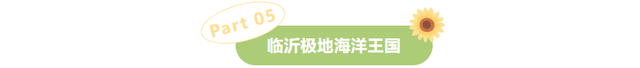感恩有您，师恩如光 | 临沂景区教师节专属福利来啦