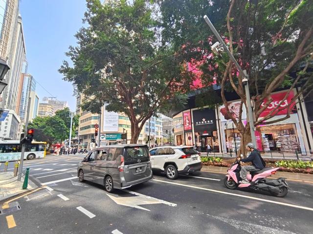 澳门马拉松：比较虐但值得去，濠江跑游全攻略