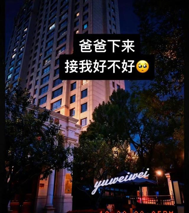 于和伟：3岁丧父，吃姐姐奶水长大，成名后为8个哥哥姐姐买房子！ ​​​