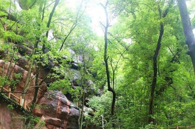 广东“巨无霸”地级市，面积比广州、湛江都大，人口不到深圳13