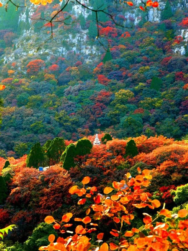 宝藏小城“县”在出发！去临朐～