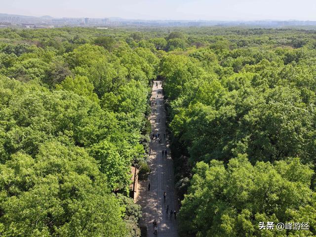 探秘钟山灵谷寺，六朝千年古刹，明太祖为修陵园迁建于此