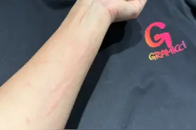 吃了亏才知道，“纯棉”和“全棉”是怎么回事？商家太能忽悠图片