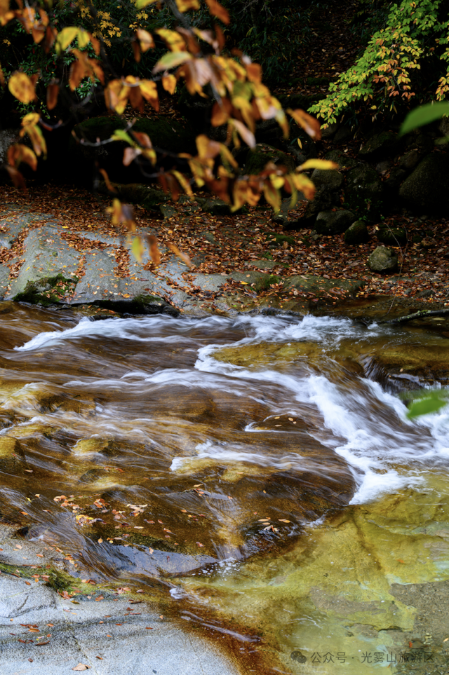 宝子你听我说，近期天气好、红叶美，光雾山可以冲了!
