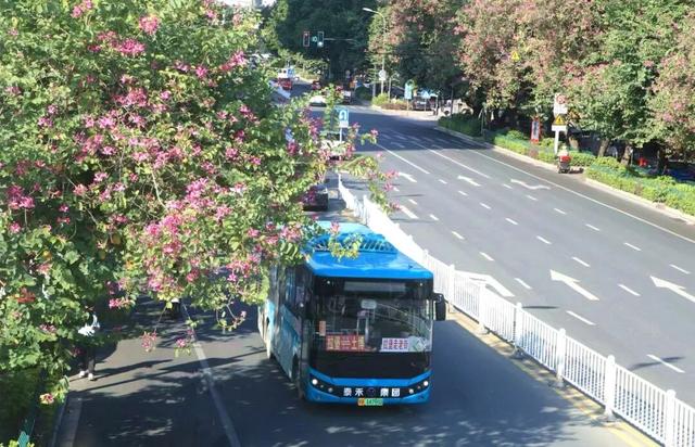 让整个柳江都“上头”的初冬味道，源头在这里