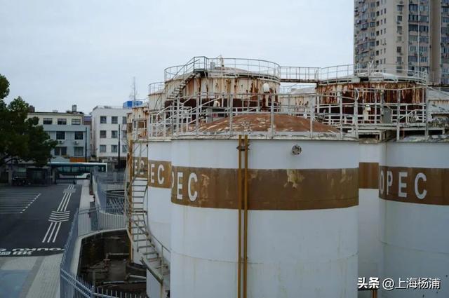 强推！这三条Citywalk路线带你畅游复兴岛和杨浦滨江