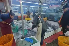 年后这种海货价格大跳水……图片