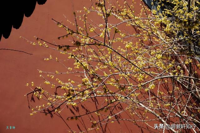 游杭州钱王祠：“钱塘自古繁华”由他开辟
