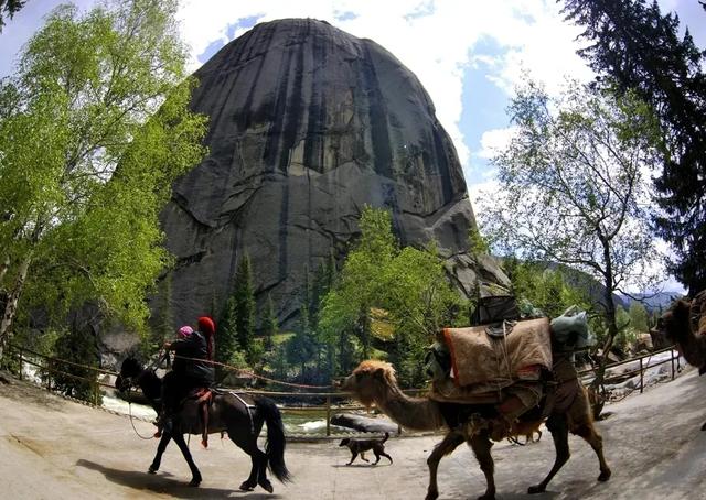 可可托海的秋日邀约：彩林漫山处，转场入画来