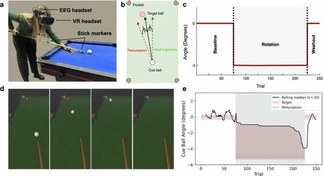 追问daily|认知训练能让大脑变大吗？AI越智能越自私？