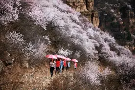 目的地河北！春日踏青，即刻就出发→图片