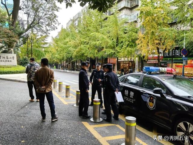 【警景相随.平安冬鸥】杏黄鸥舞待君来，平安守护提前行！