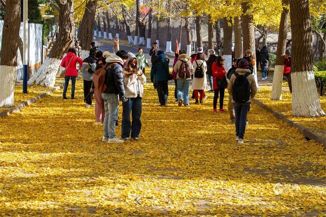 “梅”好上线，解锁“冬游青岛”新地标