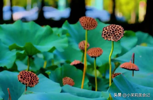 8月7立秋，今年立秋有3个好消息，2个坏消息，2个要注意，早了解