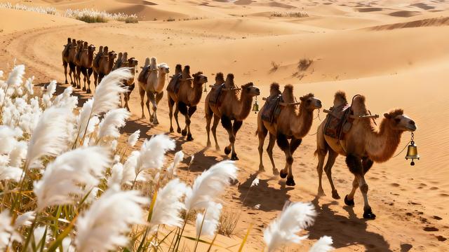 长风掠过天山麓，秋韵漫染乌鲁木齐 —— 丝路名城的鎏金诗卷