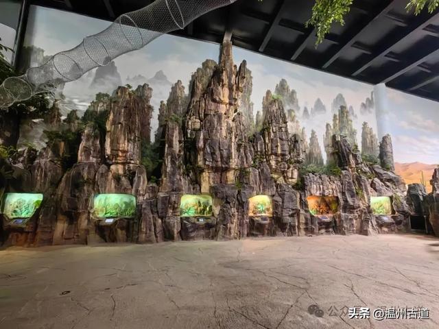 温州这个以畲族始祖命名的4A级景区，秘藏着一座“生物王国”！